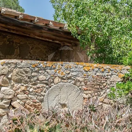 Mas Massoni - Masia Del Siglo Xiv *