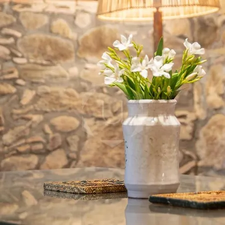 Holiday home Mas Massoni - Masia Del Siglo Xiv Palafrugell